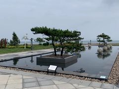 -云岗森林公园