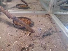 -哈尔滨北方森林动物园
