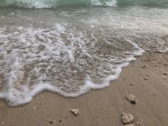 -东姑阿都拉曼海洋公园