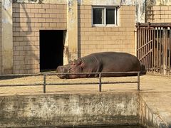 -合肥野生动物园