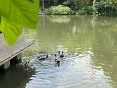-绍兴鉴湖君澜大酒店