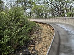-富斯特索道