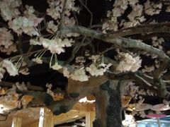 -九龙湾温泉汗蒸时代