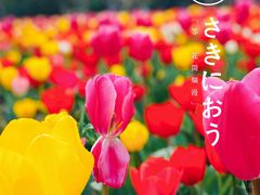 -大宁公园