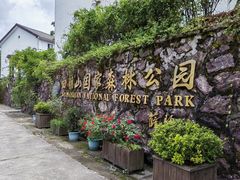 -四明山国家森林公园