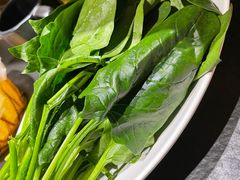 -蓉客成都火锅·招牌麻辣牛杂·特色香辣蹄花(凌水店)