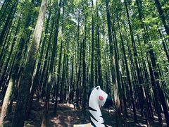 -山王坪喀斯特国家生态公园