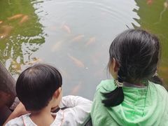 -枫香湖儿童公园