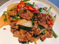 酸萝卜炒牛肉-日上三甘(三里屯店)
