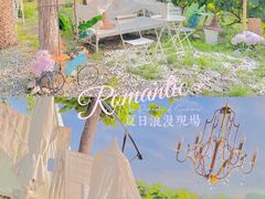 -安德鲁户外烧烤帐篷营地(马泉营店)