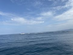 -王权免税店(普吉机场店)