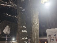 -北海道神宫