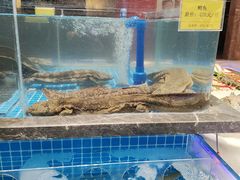 -皇宫大酒店