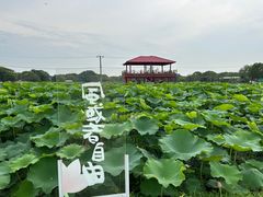 -嘉北郊野公园