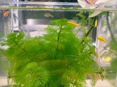 -趣陶陶艺手工坊(新世界百货重庆店)