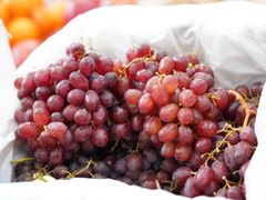 -西郊国际农产品交易中心