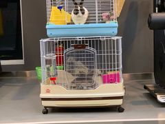 -UltraForce超源健身私教工作室(长楹天街精品店)