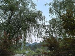 -黄陂区野村谷景区