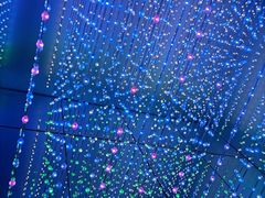 -天津梵高星空艺术馆(天河城旗舰店)
