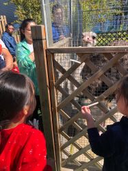 -萌宠亲子动物乐园(槐房万达店)