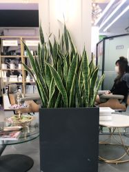 -FUTURE HN男士发型风格设计