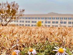 -南开大学滨海学院