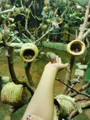 -Zoolung Zoolung动物主题公园(海信广场店)