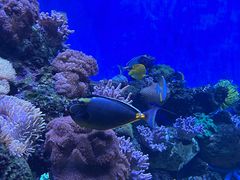 -成都浩海立方海洋公园