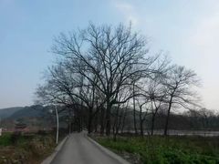 -寨沙侗寨(侗族歌堂)