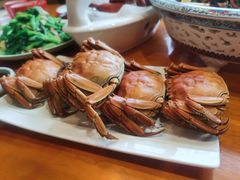 -潍城老菜馆·地标美食