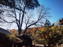 -潭柘寺景区