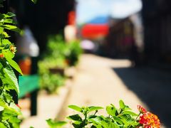-前童古镇