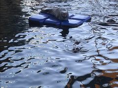 -华夏文旅海洋公园