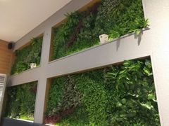 -牛油果大师寿司(瑞景店)