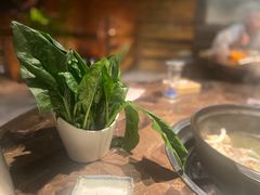 -同仁四季椰子鸡(海岸城天利店)