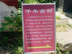 -终南山南五台景区