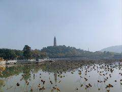 -顺峰山公园