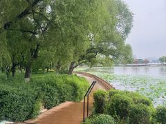 -长春市南湖公园
