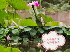 -成都市文化公园