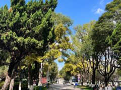 -云南师范大学(一二一西南联大校区)