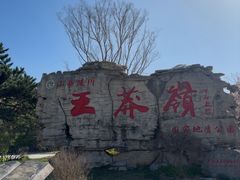 -王莽岭风景区