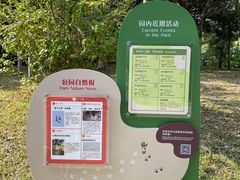 -福田红树林生态公园