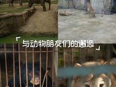 -南昌动物园