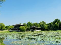 -尚湖风景区