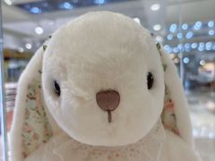 -金鹰国际购物中心(江都店)