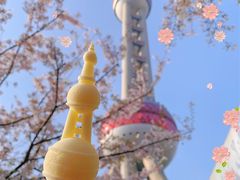 -东方明珠广播电视塔