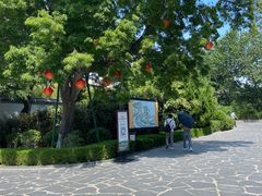 -蓬莱阁景区