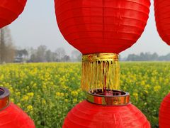 -中国天府农业博览园