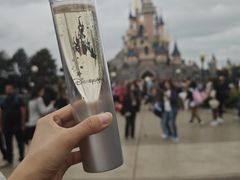 -巴黎迪士尼乐园