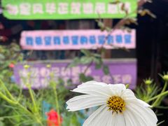 -丽江泸沽湖景区